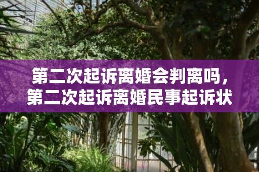 第二次起诉离婚会判离吗，第二次起诉离婚民事起诉状