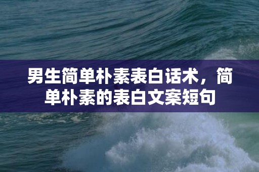 男生简单朴素表白话术，简单朴素的表白文案短句