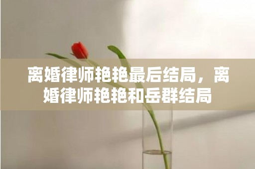 离婚律师艳艳最后结局，离婚律师艳艳和岳群结局