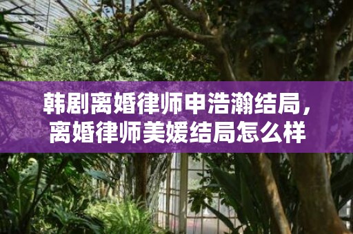 韩剧离婚律师申浩瀚结局，离婚律师美媛结局怎么样