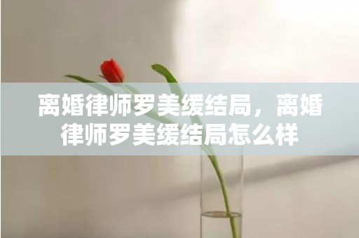 离婚律师罗美缓结局，离婚律师罗美缓结局怎么样