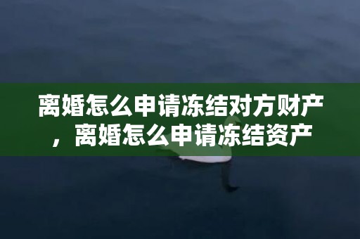 离婚怎么申请冻结对方财产，离婚怎么申请冻结资产