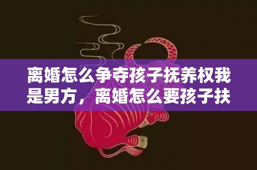 离婚怎么争夺孩子抚养权我是男方，离婚怎么要孩子扶养费