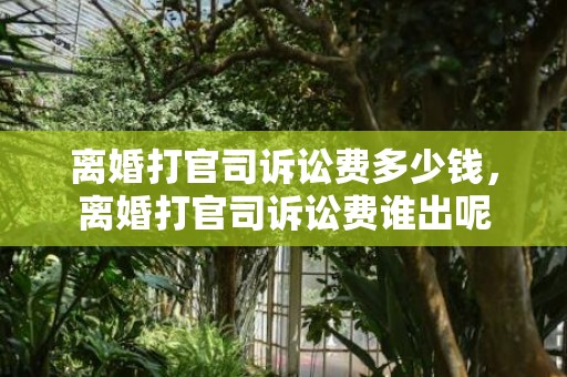 离婚打官司诉讼费多少钱，离婚打官司诉讼费谁出呢