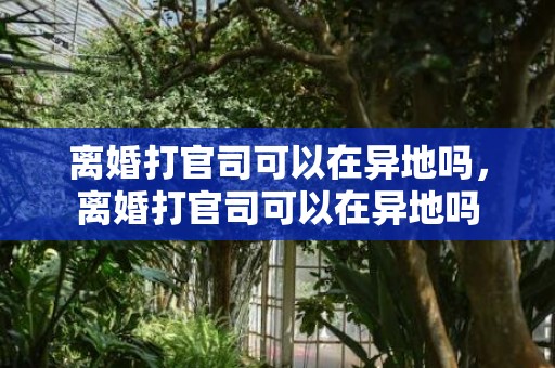 离婚打官司可以在异地吗，离婚打官司可以在异地吗