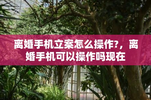 离婚手机立案怎么操作?，离婚手机可以操作吗现在