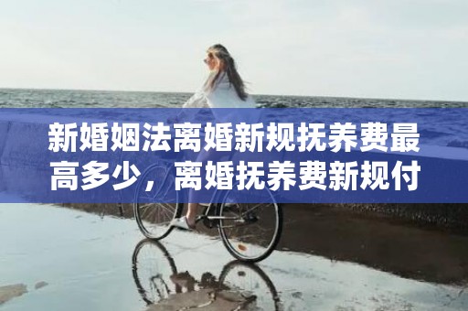 新婚姻法离婚新规抚养费最高多少，离婚抚养费新规付到多少岁