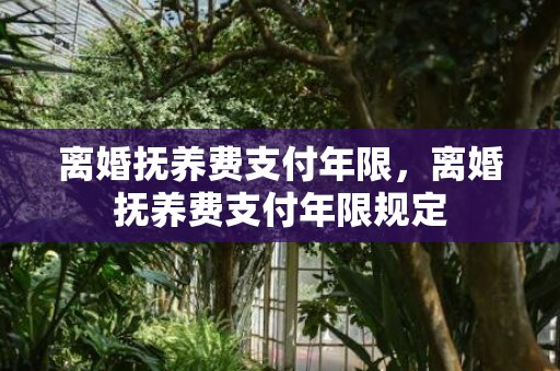 离婚抚养费支付年限，离婚抚养费支付年限规定