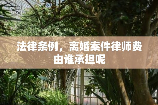 法律条例，离婚案件律师费由谁承担呢