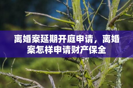 离婚案延期开庭申请，离婚案怎样申请财产保全