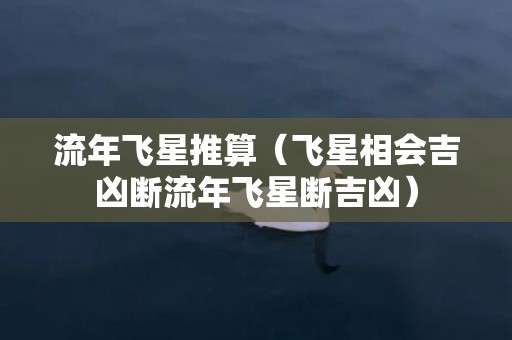 流年飞星推算（飞星相会吉凶断流年飞星断吉凶）