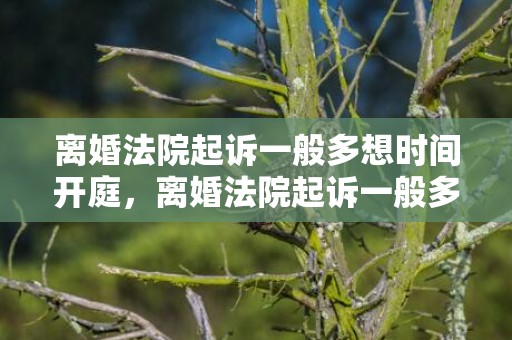 离婚法院起诉一般多想时间开庭，离婚法院起诉一般多久开庭