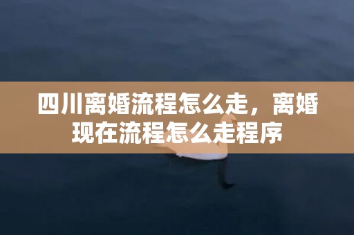 四川离婚流程怎么走，离婚现在流程怎么走程序