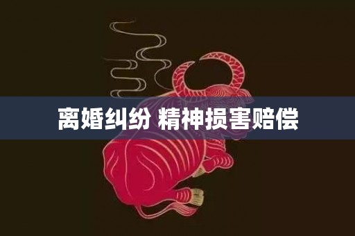 离婚纠纷 精神损害赔偿