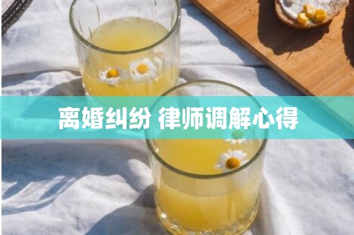 离婚纠纷 律师调解心得