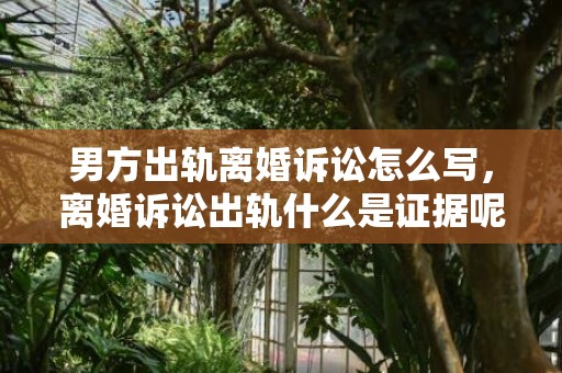 男方出轨离婚诉讼怎么写，离婚诉讼出轨什么是证据呢