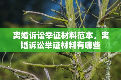 离婚诉讼举证材料范本，离婚诉讼举证材料有哪些