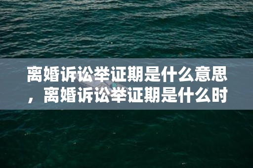 离婚诉讼举证期是什么意思，离婚诉讼举证期是什么时候