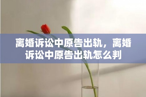 离婚诉讼中原告出轨，离婚诉讼中原告出轨怎么判