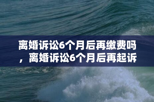 离婚诉讼6个月后再缴费吗，离婚诉讼6个月后再起诉