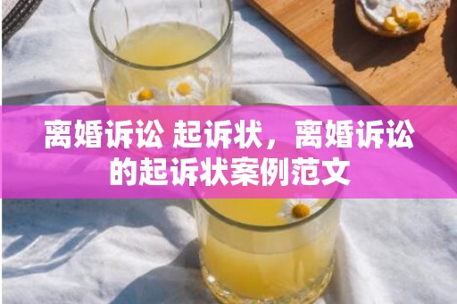 离婚诉讼 起诉状，离婚诉讼的起诉状案例范文