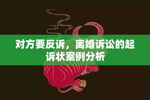 对方要反诉，离婚诉讼的起诉状案例分析