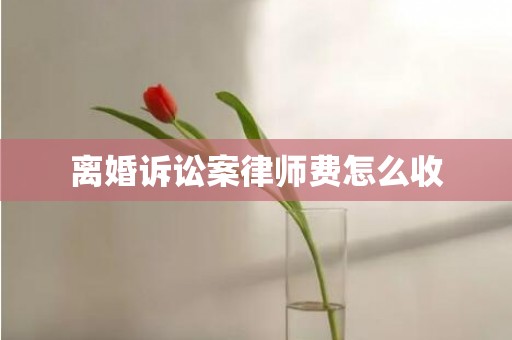 离婚诉讼案律师费怎么收