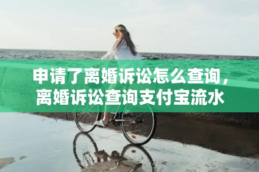 申请了离婚诉讼怎么查询，离婚诉讼查询支付宝流水