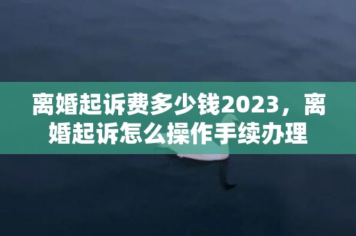 离婚起诉费多少钱2023，离婚起诉怎么操作手续办理