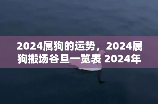 2024属狗的运势，2024属狗搬场谷旦一览表 2024年属狗最佳的搬场谷旦