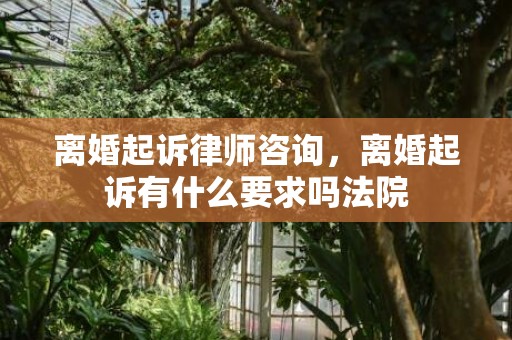 离婚起诉律师咨询，离婚起诉有什么要求吗法院