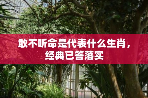 敢不听命是代表什么生肖，经典已答落实