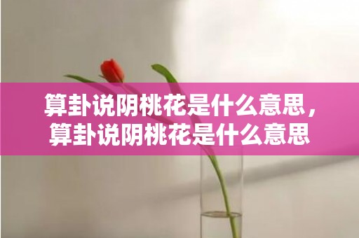 算卦说阴桃花是什么意思，算卦说阴桃花是什么意思