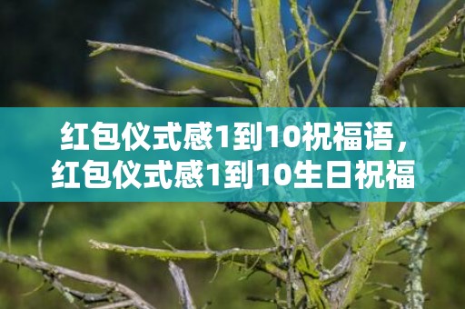 红包仪式感1到10祝福语，红包仪式感1到10生日祝福