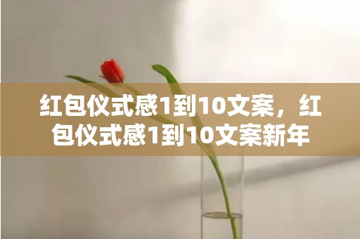 红包仪式感1到10文案，红包仪式感1到10文案新年