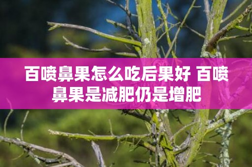 百喷鼻果怎么吃后果好 百喷鼻果是减肥仍是增肥