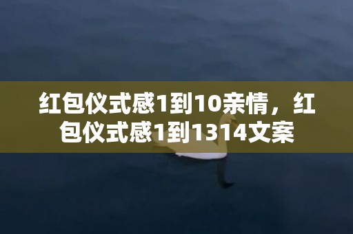 红包仪式感1到10亲情，红包仪式感1到1314文案