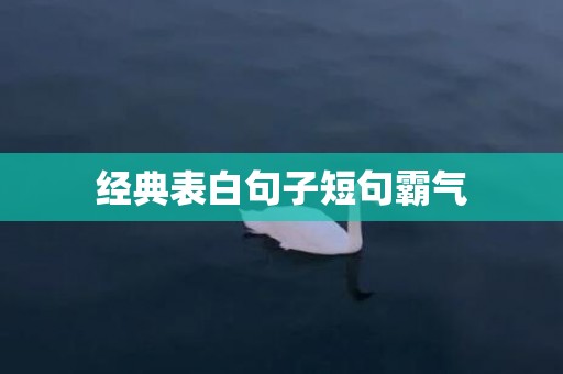 经典表白句子短句霸气