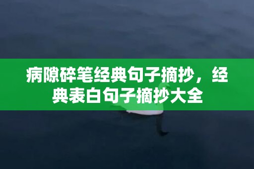 病隙碎笔经典句子摘抄，经典表白句子摘抄大全