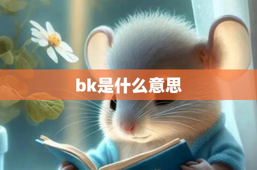 bk是什么意思