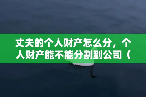 丈夫的个人财产怎么分，个人财产能不能分割到公司（个人财产能不能分割到公司财产）