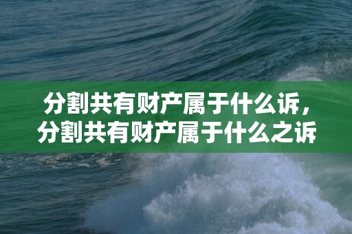 分割共有财产属于什么诉，分割共有财产属于什么之诉（分割共同共有财产）