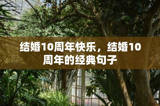 结婚10周年快乐，结婚10周年的经典句子