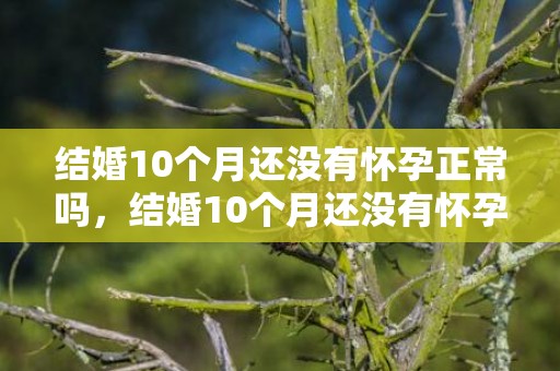 结婚10个月还没有怀孕正常吗，结婚10个月还没有怀孕