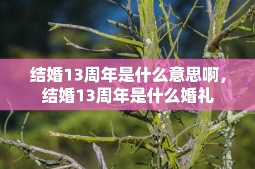 结婚13周年是什么意思啊，结婚13周年是什么婚礼