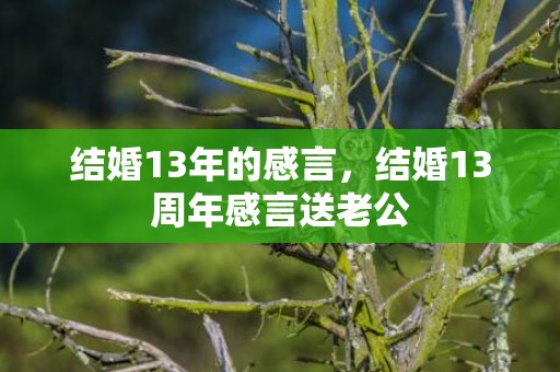 结婚13年的感言，结婚13周年感言送老公