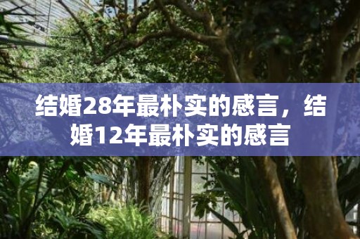 结婚28年最朴实的感言，结婚12年最朴实的感言