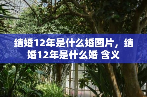 结婚12年是什么婚图片，结婚12年是什么婚 含义