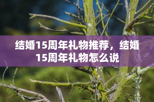 结婚15周年礼物推荐，结婚15周年礼物怎么说