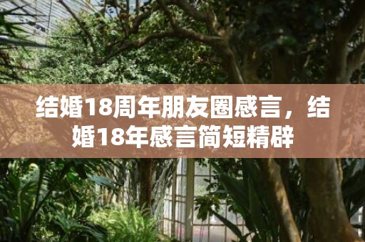 结婚18周年朋友圈感言，结婚18年感言简短精辟